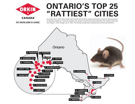 Albany-Troy-Schenectady metro still on Orkin's top 50 'rattiest cities' list